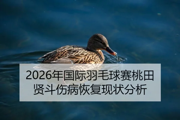 2026年国际羽毛球赛桃田贤斗伤病恢复现状分析