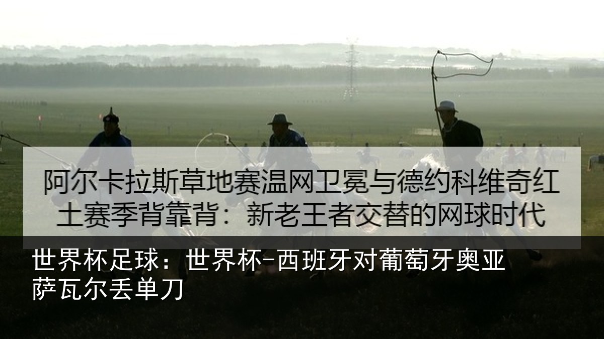 世界杯足球：世界杯-西班牙对葡萄牙奥亚萨瓦尔丢单刀